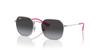 RJ9594S MINI JIM Детские Солнцезащитные Очки СЕРЕБРИСТЫЙ 49 Ray-Ban
