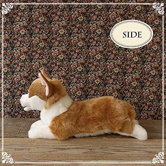Ninian and Kino Plush Dog, Realistic Lying Down, Approximately 40cm Long, Pet (Corgi)