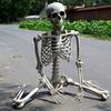 Life Size Human Skeleton Halloween Prop 90CM Realistic Movable Hanging Decoration for Haunted House Parties