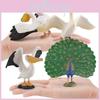 Wildlife Peafowl Pelican Animal Pvc Models For Kids Educational Decor And Toys