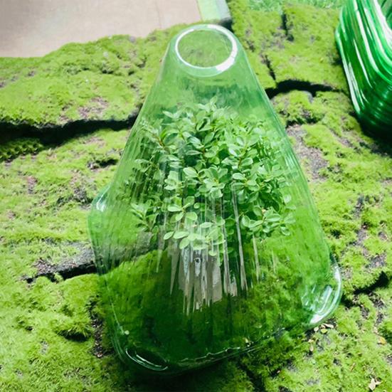 10 Pcs Plant Cloches Transparent Cloches Nursery PET Plastic Reusable Garden Cover Plant Windbreak