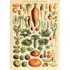 Vintage Classic Wall Art Plants Mushroom Medicine Flower Insect Butterfly Vegetable Pumpkin Carrot Canvas Oil Posters And Prints