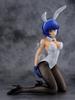 Ikki Tousen Shutsuba Toushi Ryomou Shimei Bunny Scale ПВХ Кэппуроку Вер.. (1/4 Предварительно раскрашенная фигурка)