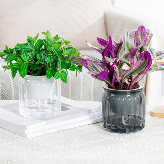 Цветочный горшок с дренажными отверстиями, отверстием для залива воды, автоматическим самополивом, гидропонный цветочный горшок, прозрачное основание, контейнер для растений