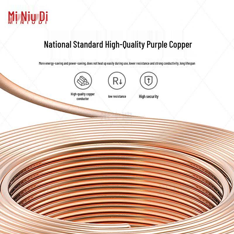 ZC-KVVP22 Armored Flame Retardant Shielded Control Cable