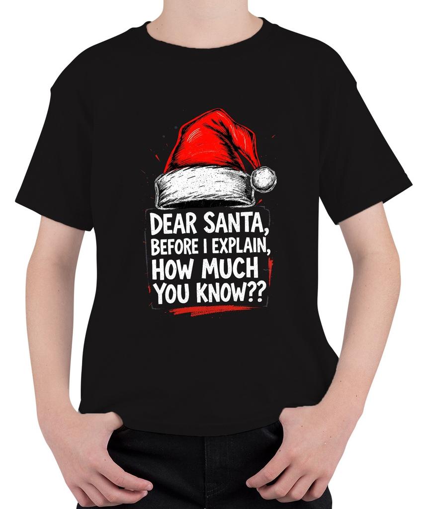 Dear Santa Before I Explain How Much Funny Christmas Hat Unisex Kids T-Sh