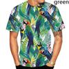 Colorful Parrot 3D Printed Men's Casual Short Sleeved Men's T-shirt