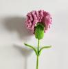 Mother's Day Gift Handmade Carnation Crochet Knitted Flowers Artificial Crochet Flowers Carnation for Bouquet Arrangement