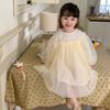 Детская одежда, весна-лето, тонкое кружевное тюлевое платье с длинными рукавами, корейский стиль, модные сетчатые платья принцессы для девочек, милые сказочные платья