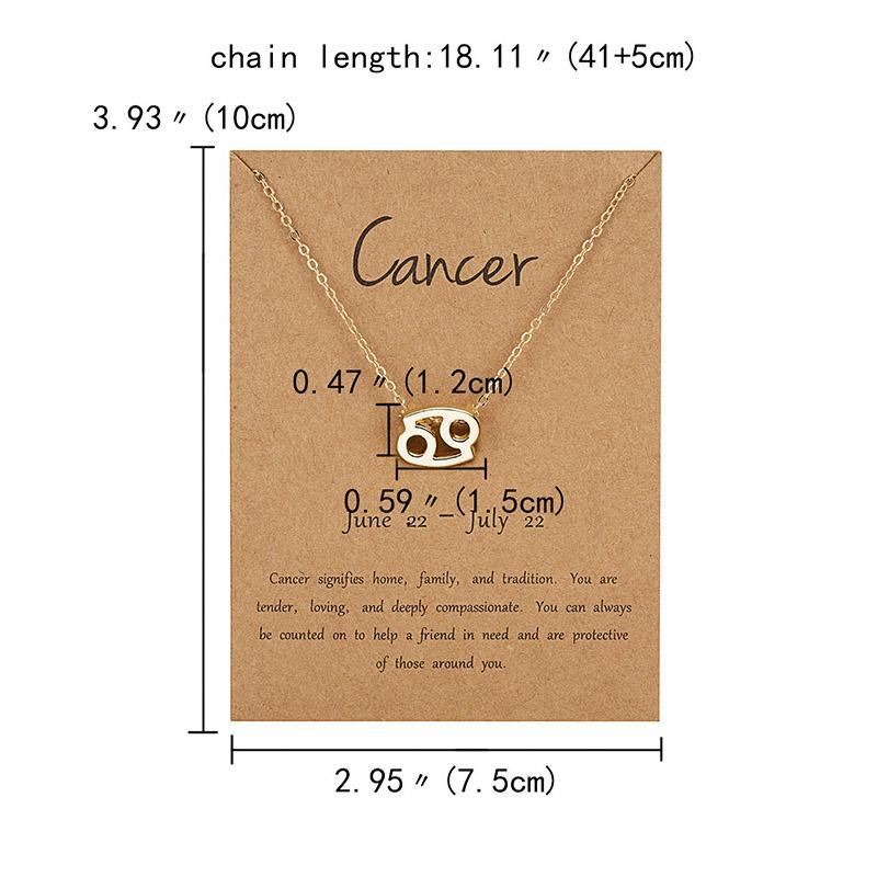 12 Созвездие Двухцветный Знак Зодиака Скорпион Ожерелье Подвеска Лев Подвески Ювелирные Изделия Подарки Ювелирные Изделия Колье Овен Рак