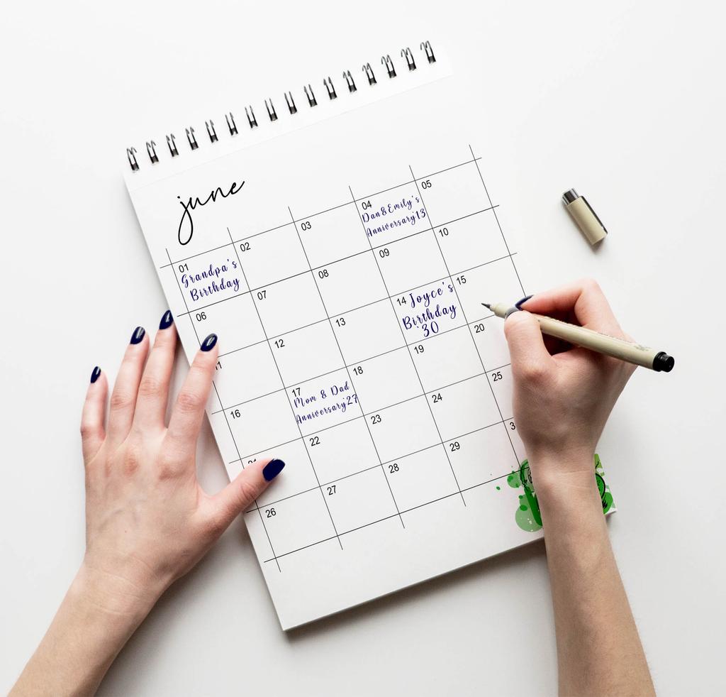 Inkdotpot Summer Bliss Perpetual Calendar, Important Dates To Remember- 6x9 Monthly and Daily  Journal for Special Days