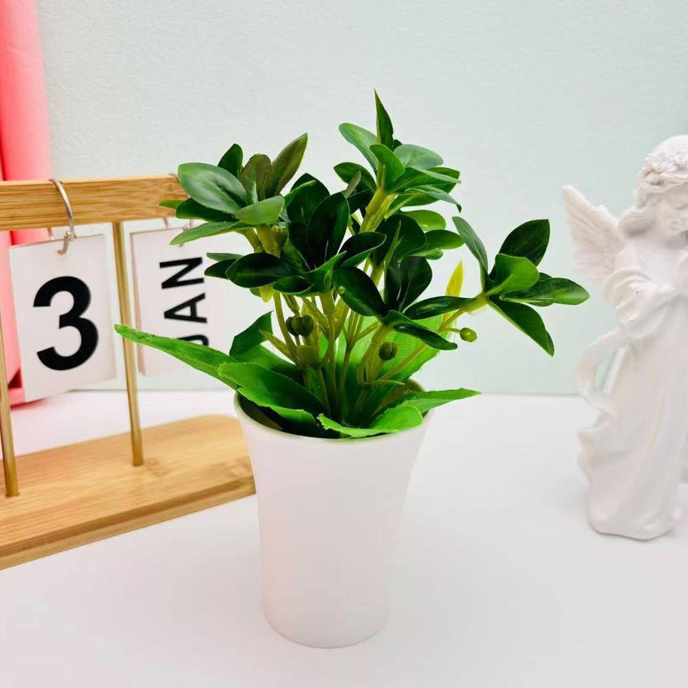 Мимоза Стыдливая Шеффлера Восьмилистная Зеленое Растение для Домашнего Настольного Декора