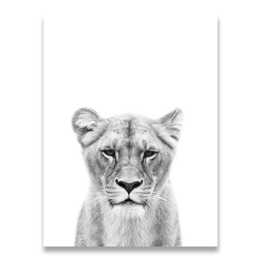 Lion Cub Print Black and White Lioness Animals Posters Safari Nursery Wall Decor Baby Animal Kids Wall Art Canvas Painting