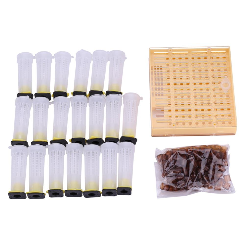 High Quality Plastic Queen Rearing Cup Kit Queen Rearing Cage Set  Raise Your Own Queens