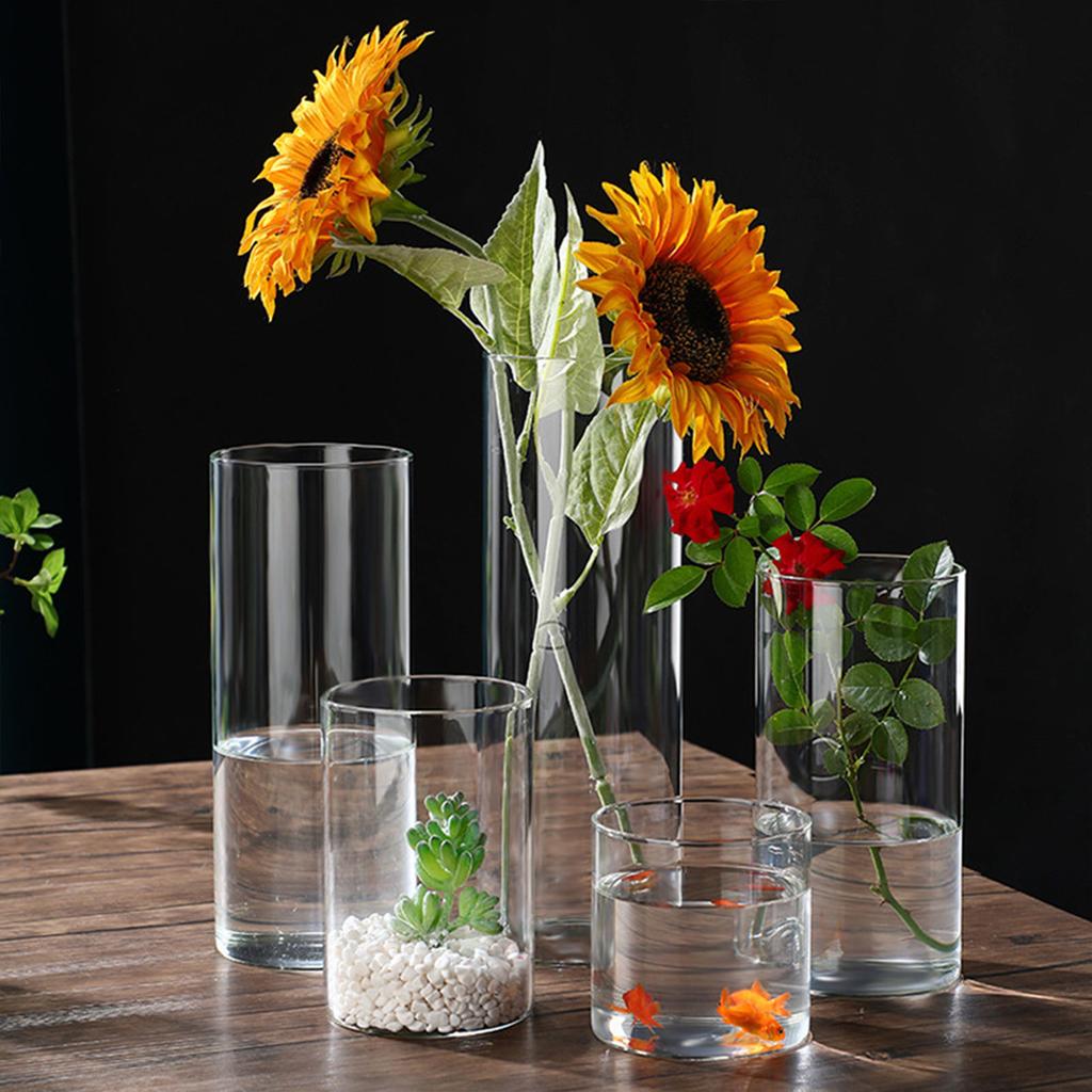Transparent Glass Hydroponic Vase Modern Small Cylinder Flower Centerpiece Vases Use for Floral Wedding Home Decoration