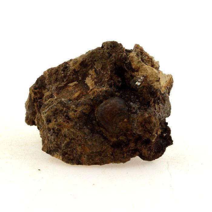 Pierres et Minéraux. Lussatite (Opale-CT). 52.0 ct. Puy de la Bourrière, Puy-de-Dôme, France. Ultra rare.