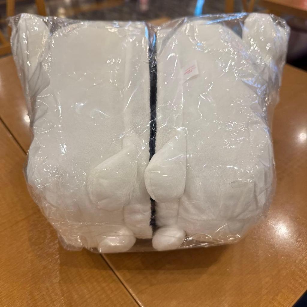 [USED] Today's limited price!! TWICE LOVELYS plush slippers GiGO Dahyun