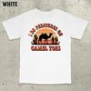 I Do Pedicures On Camel Toes Vintage Sunset Tshirt Embarrassing Shirts Vintage 90s Design Sunset T Shirt Funny Meme Tshirts