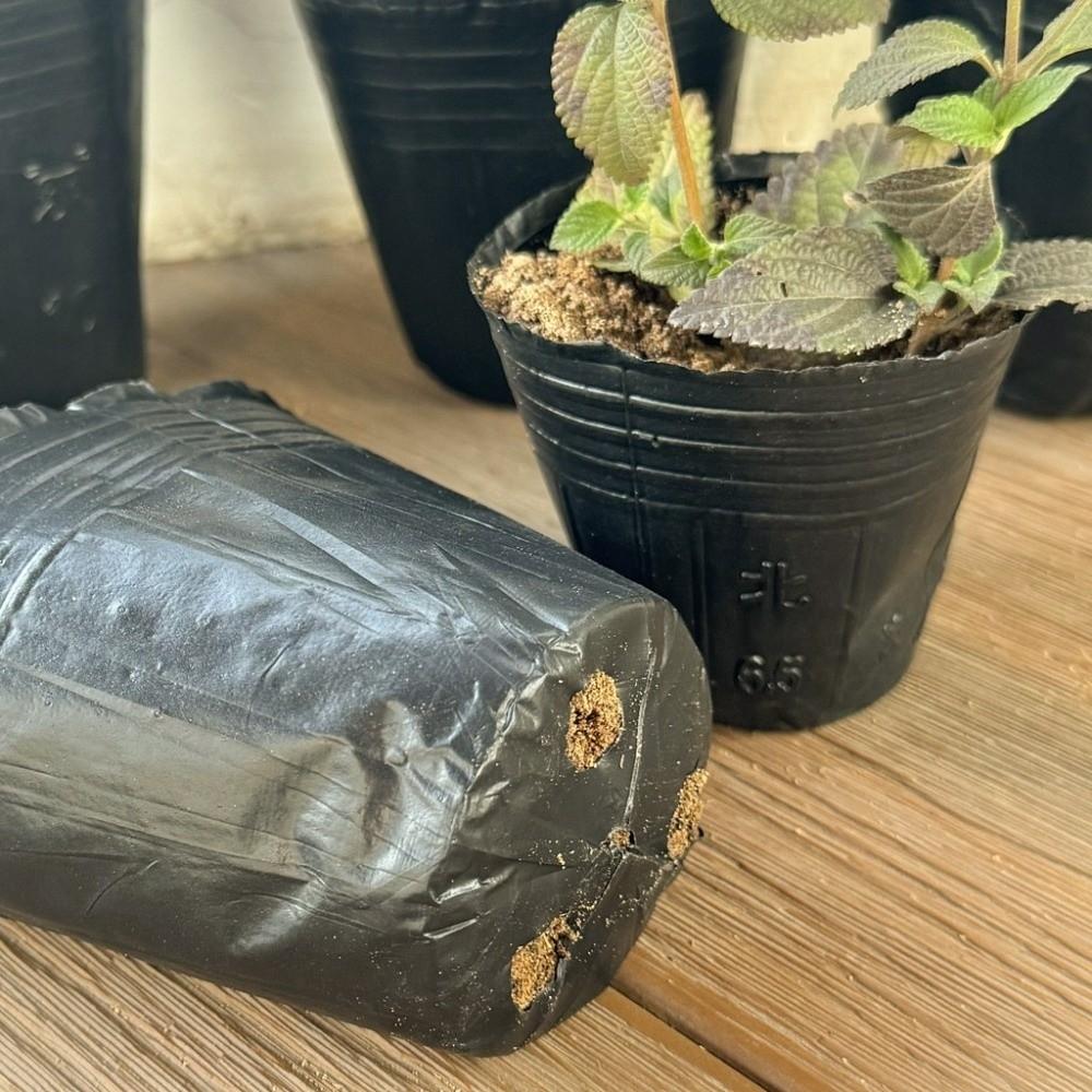 500pcs/set Disposable Plant Nutrition Cups Black Flower Vegetable Grow Bag  Garden Tools