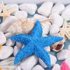 Cute Simulation Starfish Resin Sea Stars Decoration Home Decoration Starfish Ornaments  Party