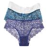 Embroidered Lace Panties Transparent Sexy Low Waist Underwear Ladies Girls Soft Breathable Briefs