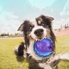 Sound Pet Supplies Chew Toys Relieve Boredom TPR Sounding Toy Elasticity Ball Molar Ball Dog  Toy