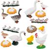 Early Education Butterfly Ladybug Chicken Dragonfly Simulation Animals Growth Cycle Model Figurine