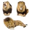 J511# Lion Wild Animal Sticker On The Car Vinyl Decal Waterproof Decoration Car Stickers