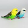 Educational Simulated Budgie Parrot Miniatures Budgerigar Toy Parrot Ornament  Living Room