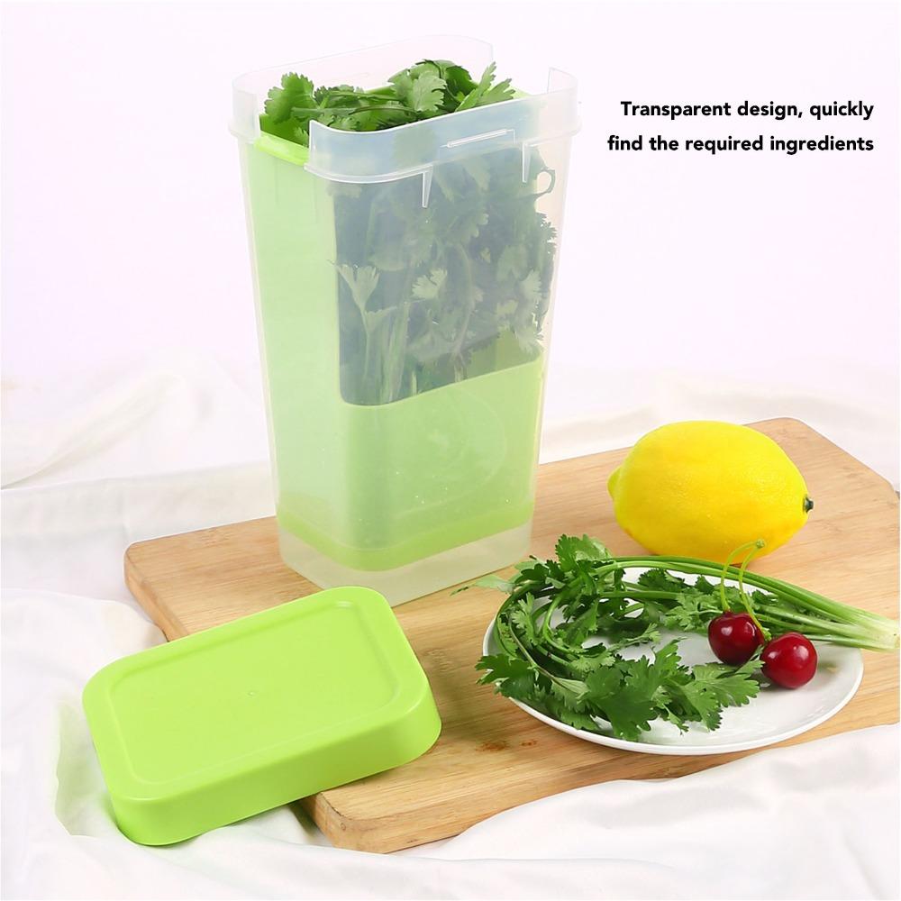 Plastic Asparagus Container Transparent Vegetables Keeper Asparagus Organizer For Kitchen