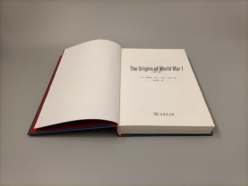 The Origins of the First World War (Third Edition)