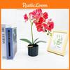 Potted Phalaenopsis Simulated Artificial Flower Desktop Ornament Decoration