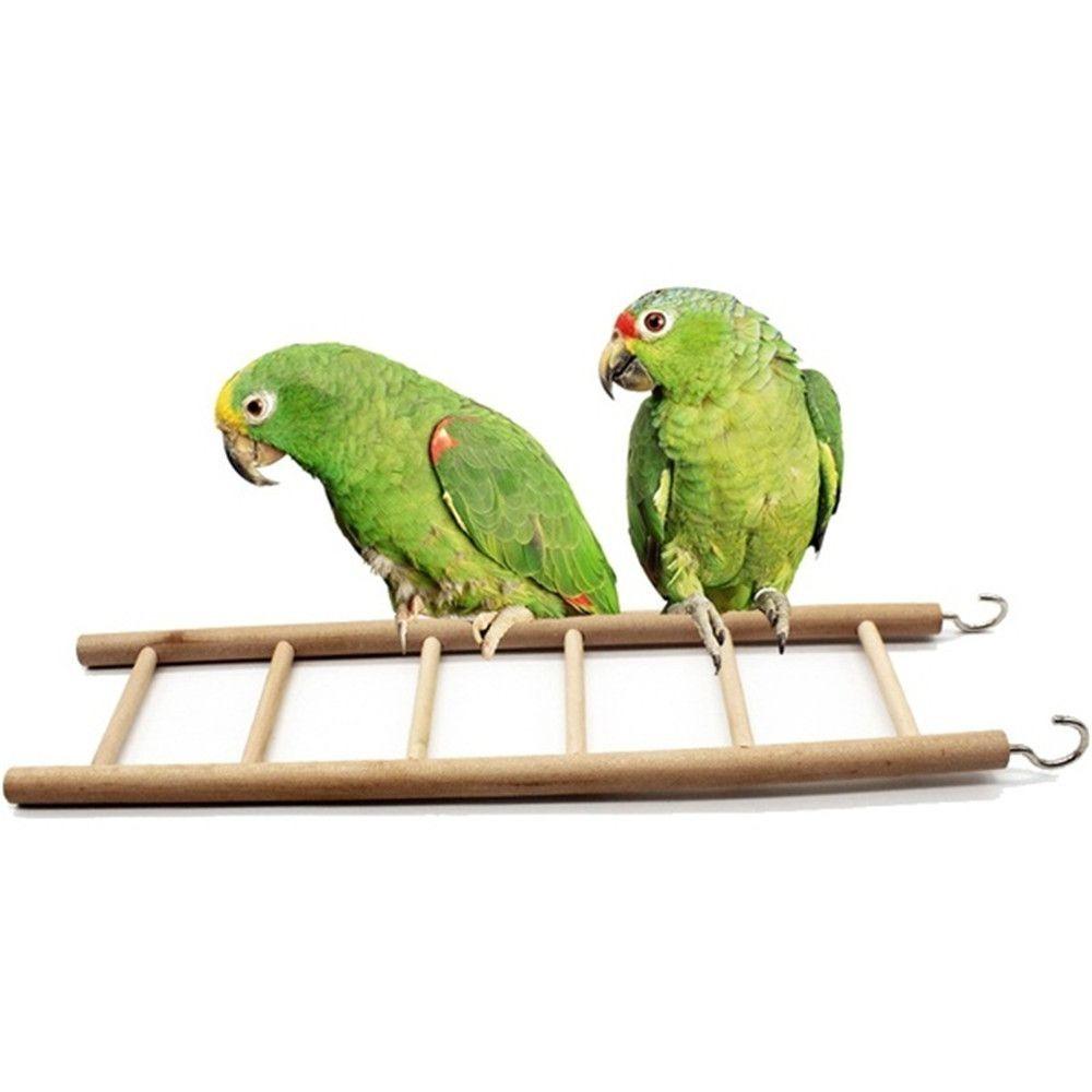 For Lizard Parakeet Wooden Hanging Parrot Climbing Frame Parrot Perch Hamsters Toys Birds Ladders