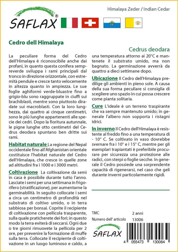 SAFLAX Кедр индийский - 35 семян - Cedrus deodara