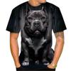 Summer Men's T-shirt Fierce Bulldog 3D Printed Cool Design Personalized Harajuku Style Boxing T-shirt Fashion Streetwear