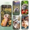 Милый Чехол для Телефона с Ежиком Для Samsung Galaxy A20, A21s, A22, A31, A32, A52, A53, A72, 73, A80 Мягкий Черный Чехол