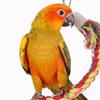 Parrot Swing Bird Cage Lanyard Parrot Toy Pet Training Accessories