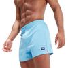 Speedo Mens Volley Vintage Swim Shorts