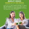250g Barley Grass Powder 100%Pure & Organic,Pure Organic Barley 250g