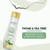 Jovees Herbal Thyme And Tea Tree Anti Dandruff Shampoo For All Hair Types 300ml