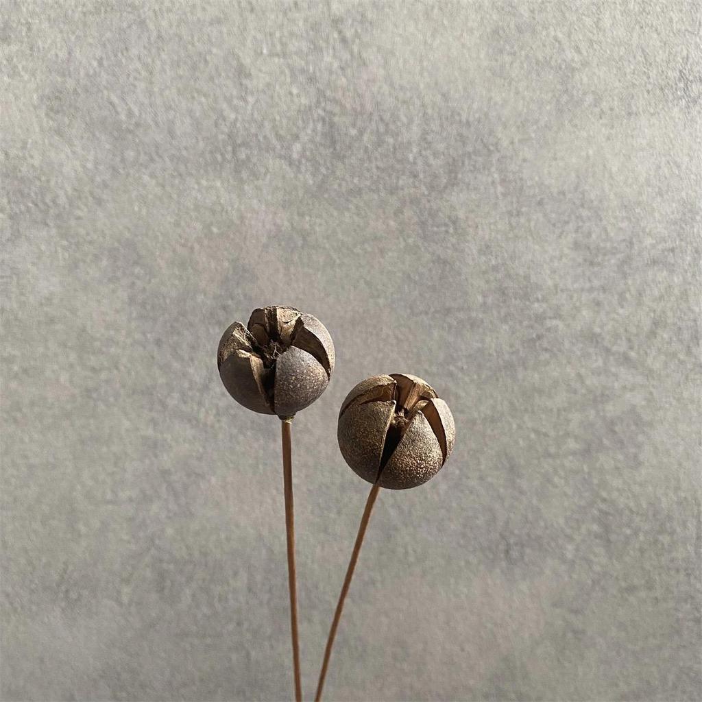 Zen Bouquet: Preserved Natural Cotton and Wheat Ear Flower Arrangement for Living Room Decor