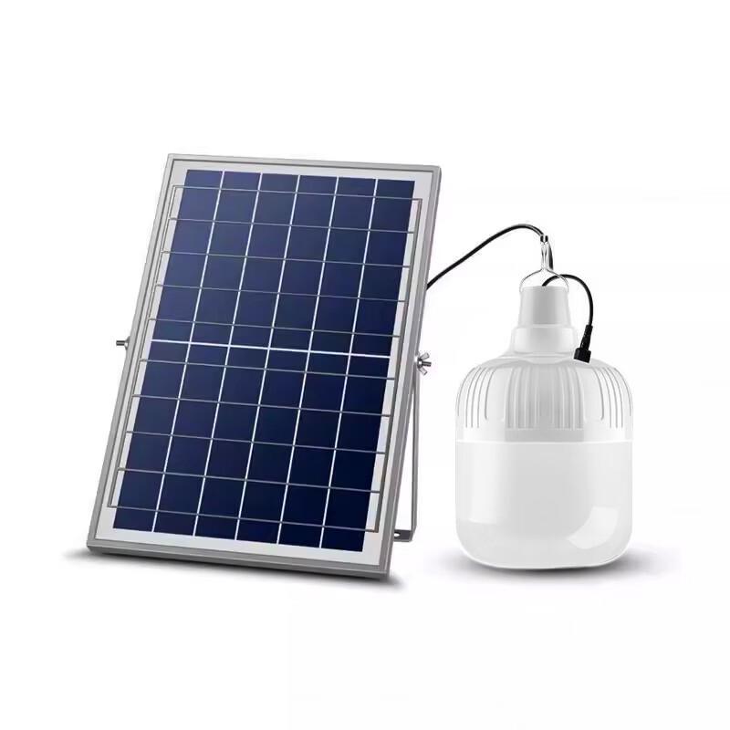 Nufeng 100W Solar Dual LED Bulb Light Kit