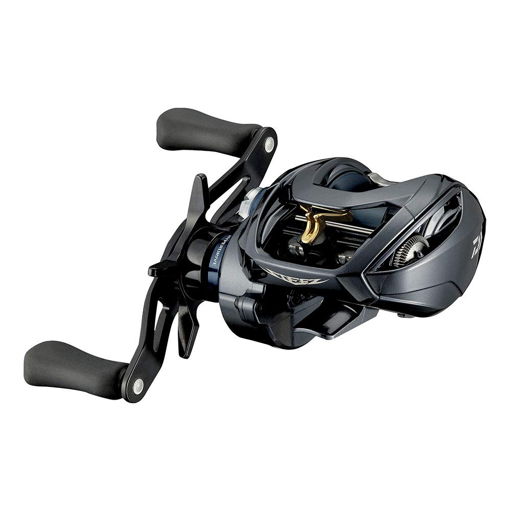 Daiwa 21 Steez A TW HLC 6.3R