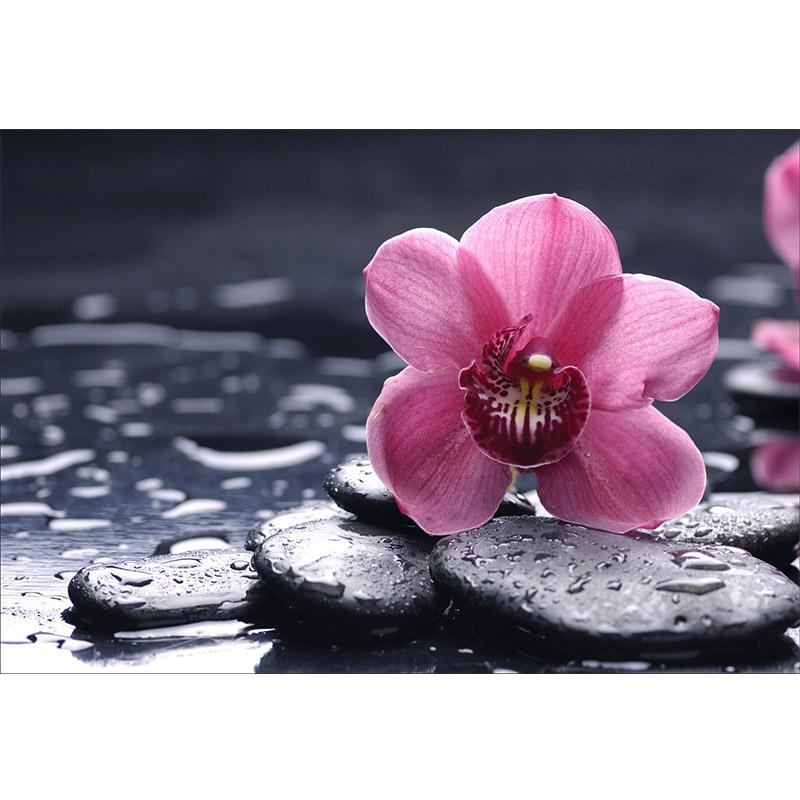 Цветок DIY 5D алмазная живопись полный круглый дрель Стразы Мозаика Орхидея Пейзаж Алмазная вышивка крестиком домашний декор