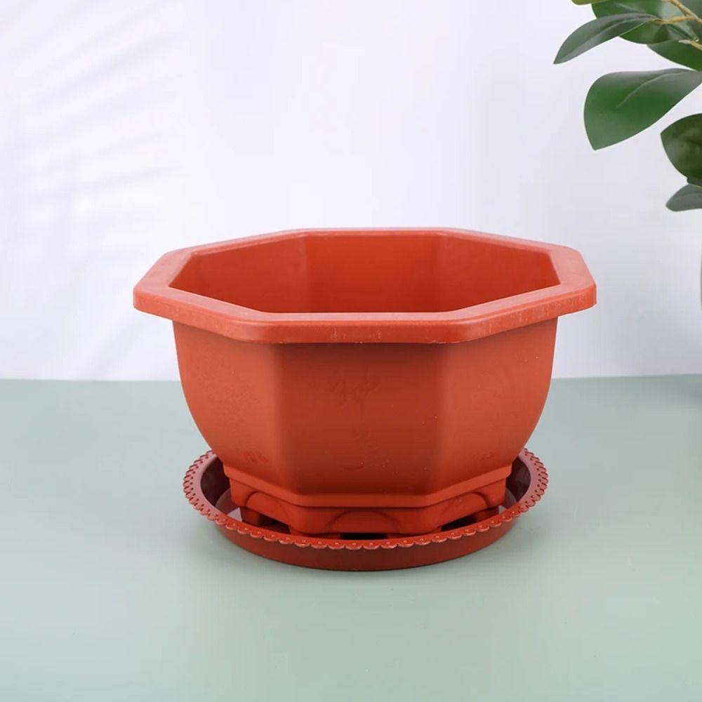 Modern Plastic Flower Pots Octangle with Tray Balcony Plant Pot Plant Growth Container Home Garden Decoration