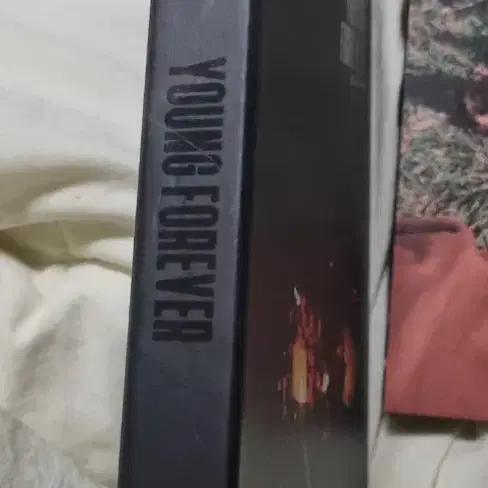 BTS YOUNG FOREVER album