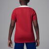 Jordan Футболка нападающего Paris Saint-Germain Dri-FIT Минималистичная с круглым вырезом с коротким рукавом Детские топы Красный Фантом HJ3402-660