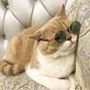 Accessories Reflection Vintage Dog Pet Glasses Sunglasses Eye-wear Cat Glasses