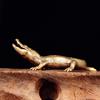 Solid Brass Vintage Crocodile Figurine Desktop Decor Collectible Ornament Ethnic Style Home Accessory