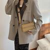 Casual Solid Color Shoulder Bag Spring and Winter New Casual Handbag Fashionable Simple Messenger Small Square Bag
